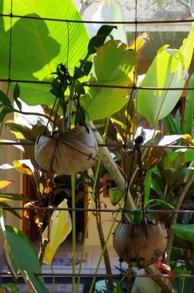 Pondok Mangga Mataram Ngoại thất bức ảnh